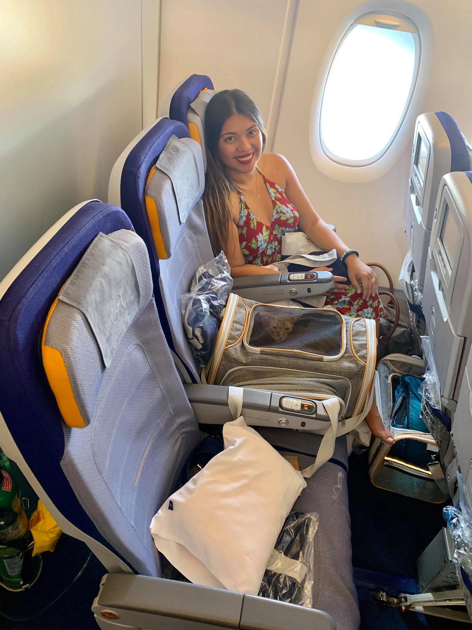 Life On The Road Day 19 Flying with our two cats from New York USA to Europe Frankfurt Germany with Lufthansa